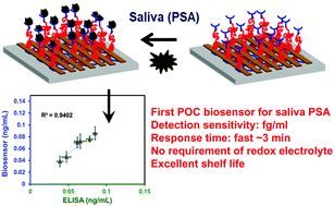 Graphical abstract: Detection of prostate specific antigen (PSA) in human saliva using an ultra-sensitive nanocomposite of graphene nanoplatelets with diblock-co-polymers and Au electrodes
