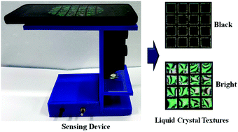 Graphical abstract: Liquid crystal based sensing device using a smartphone