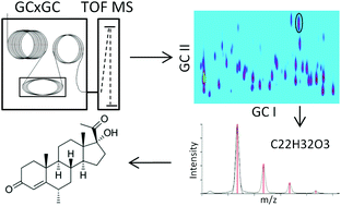Graphical abstract: A comprehensive urinary steroid analysis strategy using two-dimensional gas chromatography – time of flight mass spectrometry