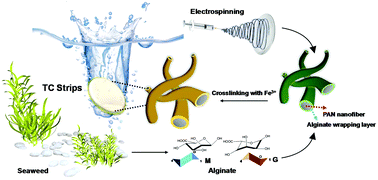 Graphical abstract: Test strips based on iron(iii)-impregnated alginate/polyacrylonitrile nanofibers for naked eye screening of tetracycline