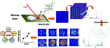 Graphical abstract: Quantitative analysis of multiple high-resolution mass spectrometry images using chemometric methods: quantitation of chlordecone in mouse liver