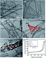 Graphical abstract: Au nanoparticles anchored on Ni(OH)2 nanowires with multiple cavities for selective electrochemical detection of dopamine