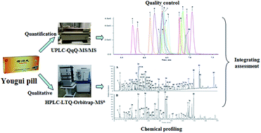 Graphical abstract: Integrating qualitative and quantitative assessments of Yougui pill, an effective traditional Chinese medicine, by HPLC-LTQ-Orbitrap-MSn and UPLC-QqQ-MS/MS