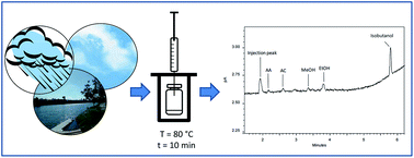 Graphical abstract: A simple method for simultaneous determination of acetaldehyde, acetone, methanol, and ethanol in the atmosphere and natural waters