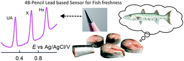 Graphical abstract: Pencil graphite as an elegant electrochemical sensor for separation-free and simultaneous sensing of hypoxanthine, xanthine and uric acid in fish samples