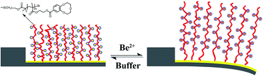 Graphical abstract: A beryllium-selective microcantilever sensor modified with benzo-9-crown-3 functionalized polymer brushes