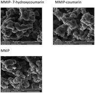 Graphical abstract: Preparation and application of magnetic molecularly imprinted polymers for the selective extraction of coumarins from food and plant samples