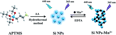 Graphical abstract: An “on–off–on” fluorescence assay based on silicon nanoparticles for selective detection of manganese(ii)
