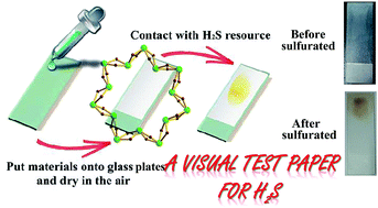 Graphical abstract: A visual test paper based on Pb(ii) metal–organic nanotubes utilized as a H2S sensor with high selectivity and sensitivity