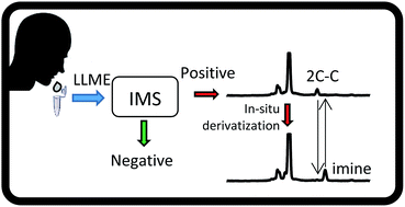 Graphical abstract: In situ derivatization for double confirmation of 2C–C in oral fluids by ion mobility spectrometry