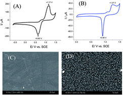 Graphical abstract: Fabrication of a quinone containing layer on gold nanoparticles directed to a label-free and reagentless electrochemical miRNA sensor