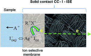 Graphical abstract: Fabrication of a flexible carbon cloth based solid contact iodide selective electrode