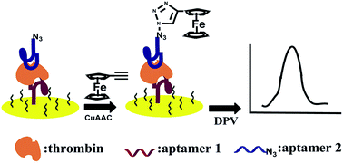Graphical abstract: Click chemistry-based aptasensor for highly sensitive electrochemical detection of thrombin