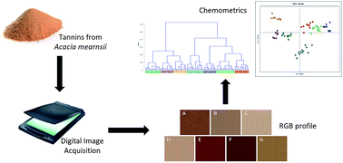 Graphical abstract: Development of an inexpensive, practical and non-destructive methodology based on digital images from a scanner for the classification of commercial tannins from Acacia mearnsii
