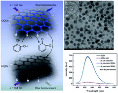 Graphical abstract: Enzyme-free fluorescence sensing of catechins in green tea using bifunctional graphene quantum dots