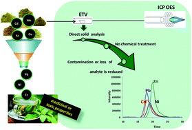 Graphical abstract: Multielement determination in medicinal plants using electrothermal vaporization coupled to ICP OES