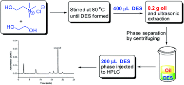 Graphical abstract: A simple and green ultrasonic-assisted liquid–liquid microextraction technique based on deep eutectic solvents for the HPLC analysis of sesamol in sesame oils