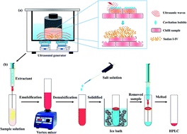 Graphical abstract: Electrolyte-assisted microemulsion breaking in vortex-agitated solidified floating organic drop microextraction for preconcentration and analysis of Sudan dyes in chili products
