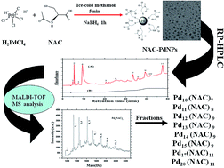 Graphical abstract: Chromatographic separation and mass spectrometric analysis of N-acetyl-l-cysteine-protected palladium nanoparticles