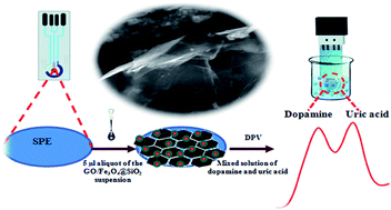 Graphical abstract: GO/Fe3O4@SiO2 core–shell nanocomposite-modified graphite screen-printed electrode for sensitive and selective electrochemical sensing of dopamine and uric acid