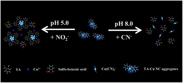 Graphical abstract: Control of pH for separated quantitation of nitrite and cyanide ions using photoluminescent copper nanoclusters