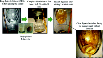 Graphical abstract: A deep eutectic solvent-based extraction method for fast determination of Hg in marine fish samples by cold vapor atomic absorption spectrometry