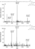 Graphical abstract: Screening of histone deacetylase 1 inhibitors in natural products by capillary electrophoresis