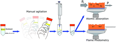 Graphical abstract: Liquid–liquid extraction as a sample preparation procedure for the determination of Na, K, Ca, and Mg in biodiesel