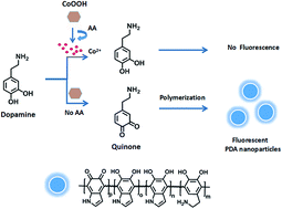 Graphical abstract: CoOOH-induced synthesis of fluorescent polydopamine nanoparticles for the detection of ascorbic acid