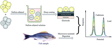 Graphical abstract: A ZnO–RGO-modified electrode coupled to microwave digestion for the determination of trace cadmium and lead in six species fish