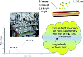 Graphical abstract: Detection of lithium in scalp hair by time-of-flight secondary ion mass spectrometry with high energy (MeV) primary ions