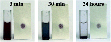 Graphical abstract: Paper-based readout to improve the measuring accuracy of gold nanoparticle aggregation-based colorimetric biosensors