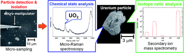 Graphical abstract: Chemical state and isotope ratio analysis of individual uranium particles by a combination of micro-Raman spectroscopy and secondary ion mass spectrometry
