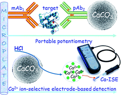 Graphical abstract: CaCO3 nanoparticles as the tags for potentiometric detection of a cardiac biomarker using a calcium ion-selective electrode