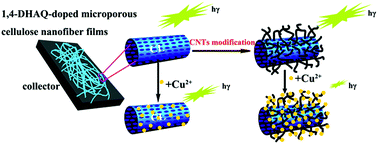 Graphical abstract: CNT-anchored cellulose fluorescent nanofiber membranes as a fluorescence sensor for Cu2+ and Cr3+