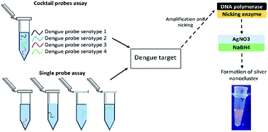 Graphical abstract: Dengue serotyping with a label-free DNA sensor