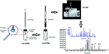 Graphical abstract: Combined headspace single-drop microextraction and solid-phase microextraction for the determination of phenols as their methyl ethers by gas chromatography-mass spectrometry