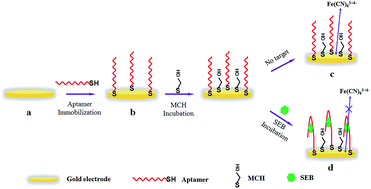 Graphical abstract: An aptamer-based electrochemical biosensor for simple and sensitive detection of staphylococcal enterotoxin B in milk