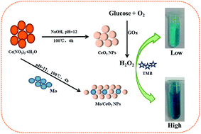 Graphical abstract: Enhanced peroxidase-like activity of Mo-doped ceria nanoparticles for sensitive colorimetric detection of glucose