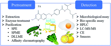 Graphical abstract: Analysis of natural and synthetic folates in pharmaceuticals and foods: a review