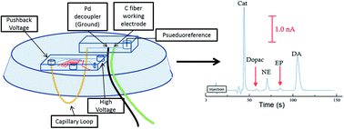 Graphical abstract: Enhanced microchip electrophoresis separations combined with electrochemical detection utilizing a capillary embedded in polystyrene