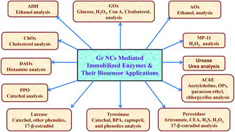 Graphical abstract: Biosensor applications of graphene-nanocomposites bound oxidoreductive and hydrolytic enzymes