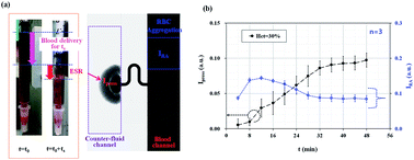 Graphical abstract: Microfluidic-based measurement of RBC aggregation and the ESR using a driving syringe system