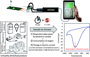 Graphical abstract: Instant enumeration of total viable bacterial counts for food quality assurance using ‘DEP-On-Go’ sensor
