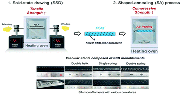 Graphical abstract: Biodegradable vascular stents with high tensile and compressive strength: a novel strategy for applying monofilaments via solid-state drawing and shaped-annealing processes