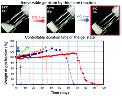 Graphical abstract: Biodegradable injectable polymer systems exhibiting a longer and controllable duration time of the gel state