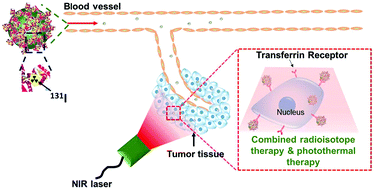 Graphical abstract: Iodine-131-labeled, transferrin-capped polypyrrole nanoparticles for tumor-targeted synergistic photothermal-radioisotope therapy
