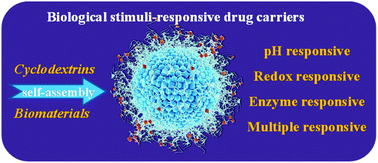 Graphical abstract: Cyclodextrin-based biological stimuli-responsive carriers for smart and precision medicine