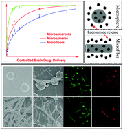 Graphical abstract: Development of drug-loaded polymer microcapsules for treatment of epilepsy