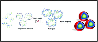 Graphical abstract: Novel poly(vinyl alcohol)-based amphiphilic nanogels by non-covalent boric acid crosslinking of polymeric micelles